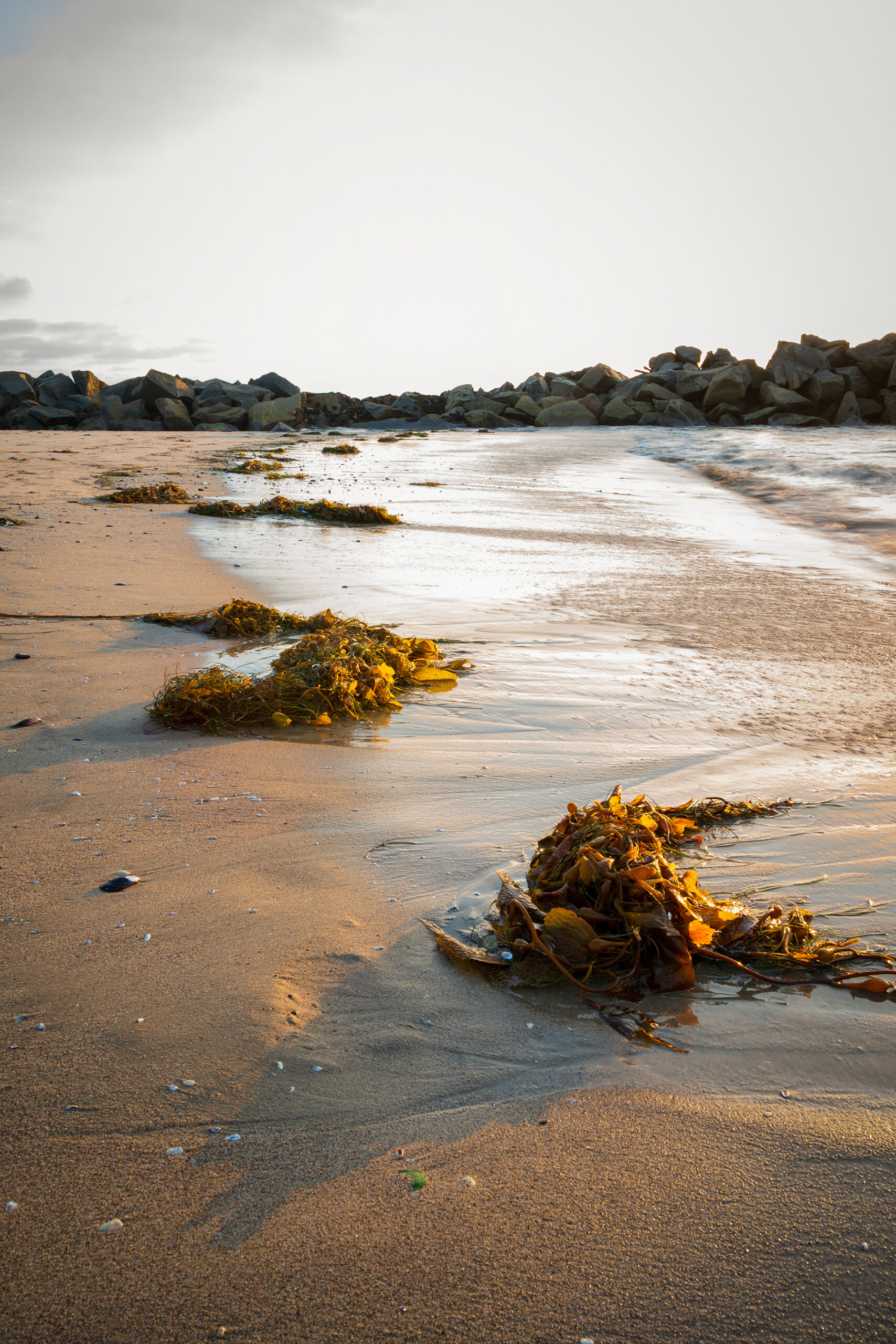 NiSi JetMag Pro FS GND Magnetic Filter Before - 21