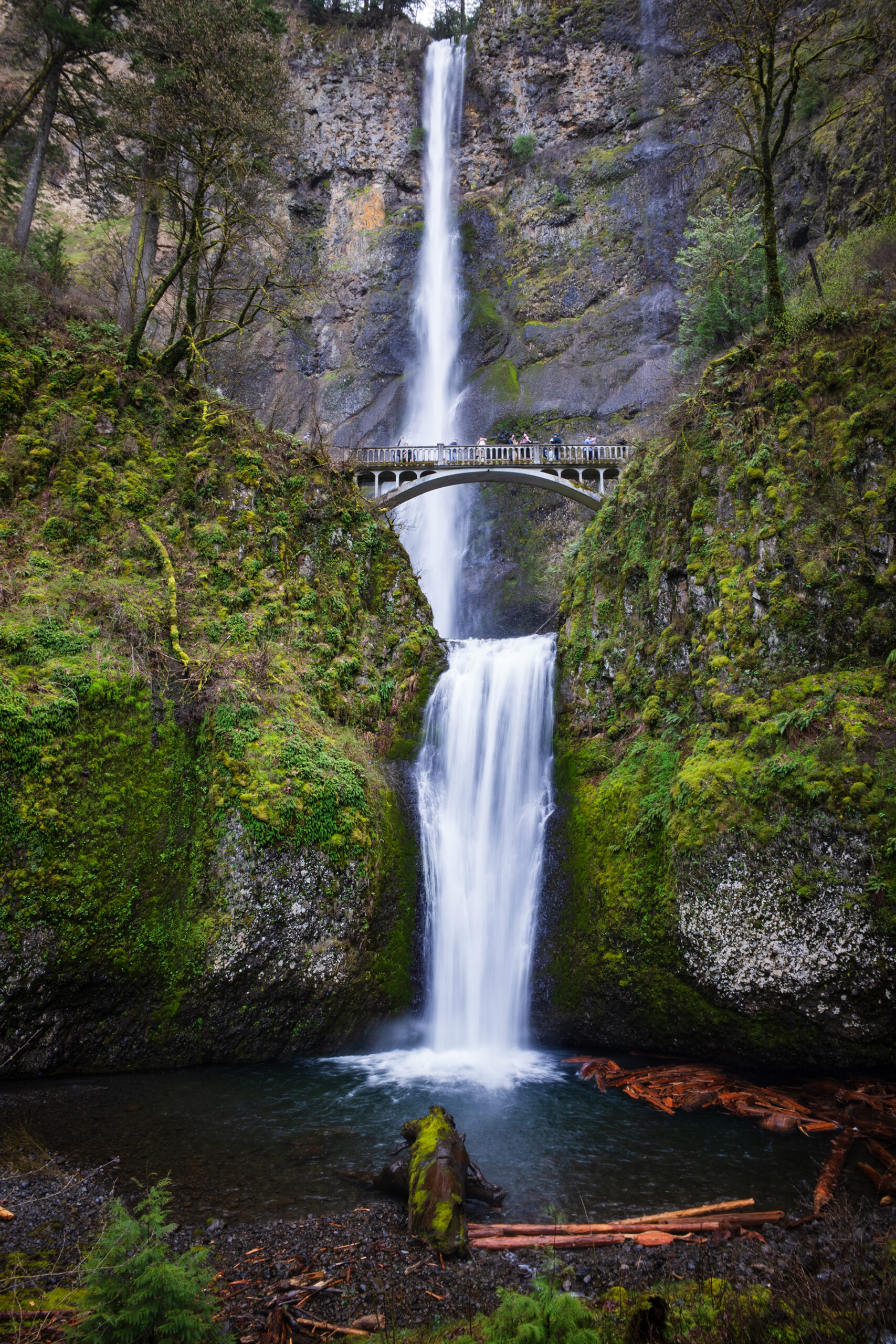 Wide Conversion Lens FOR Ricoh GR Series-Comparison-13With