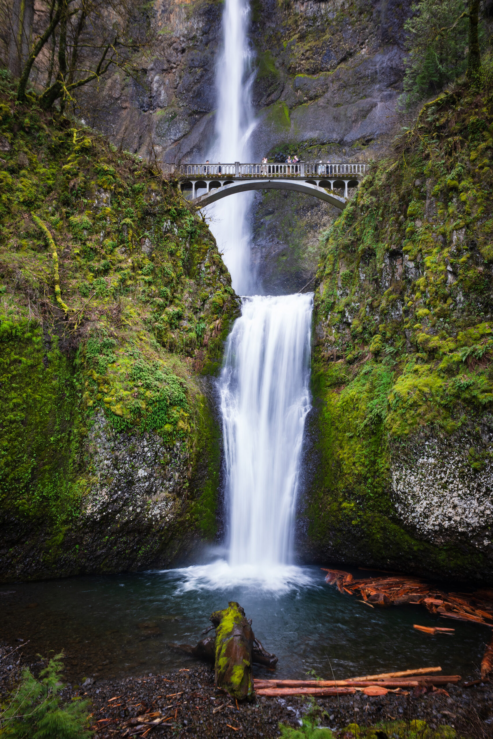 Wide Conversion Lens FOR Ricoh GR Series-Comparison-13Without